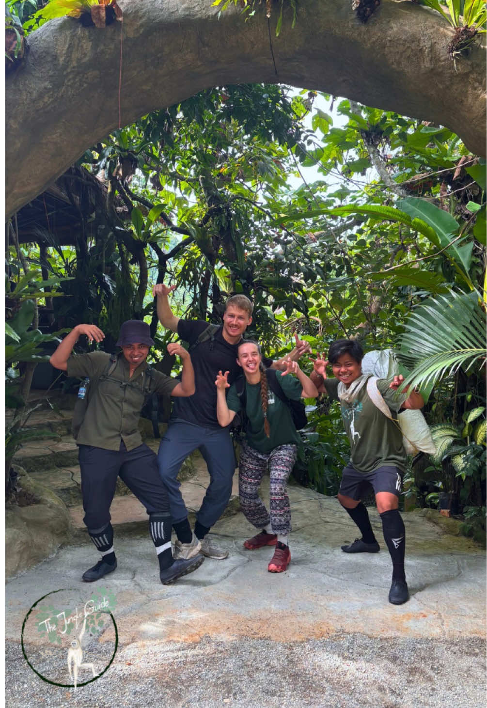 @The Jungle Guide