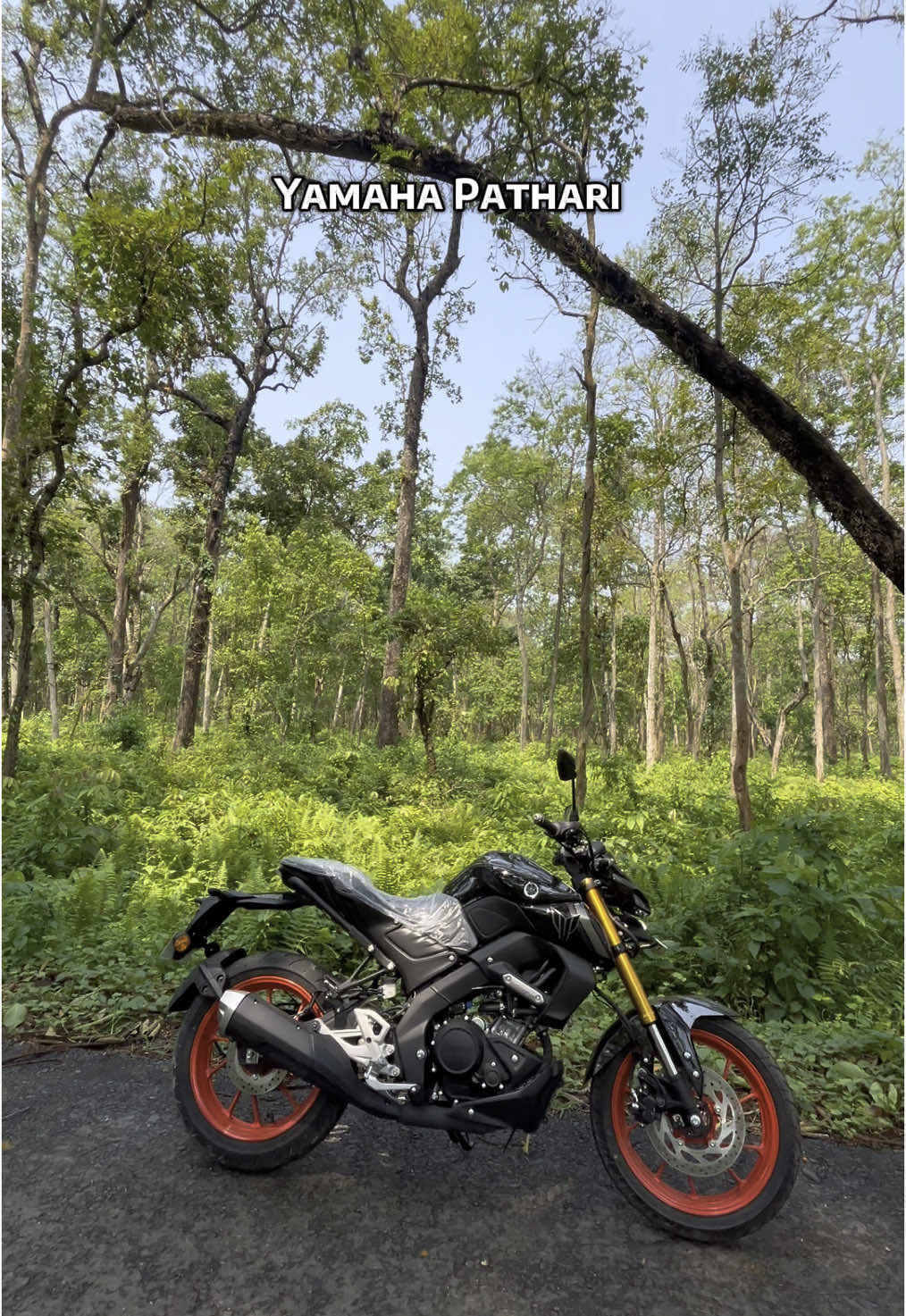 @Yamaha Pathari