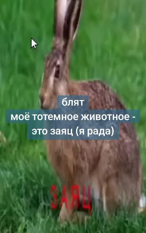 @Жʍуᴩᴀ! (0^0)
