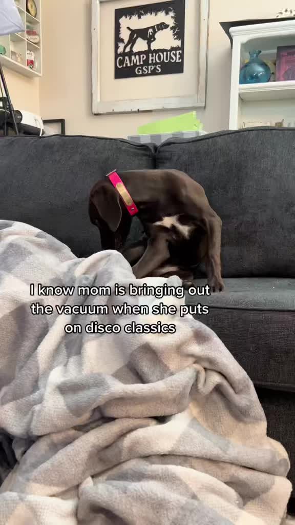 @alice_the_gsp