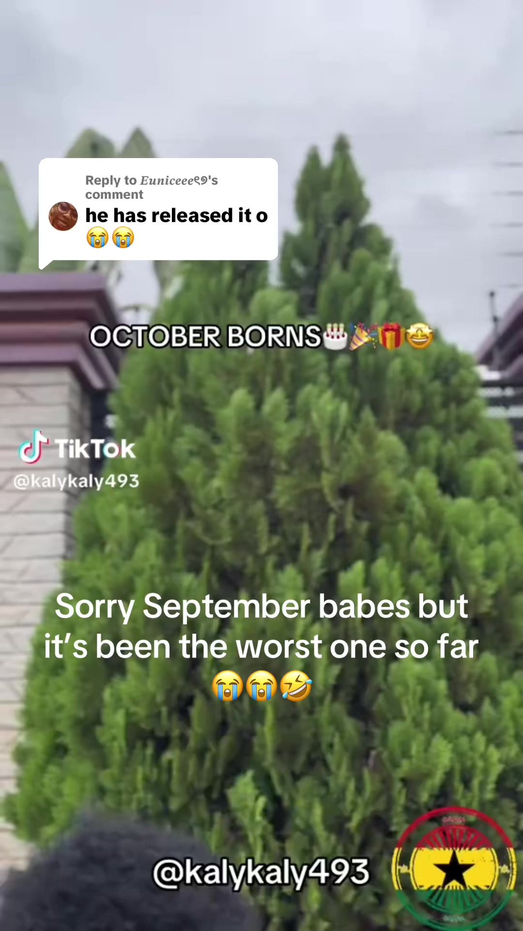 @annexcofie