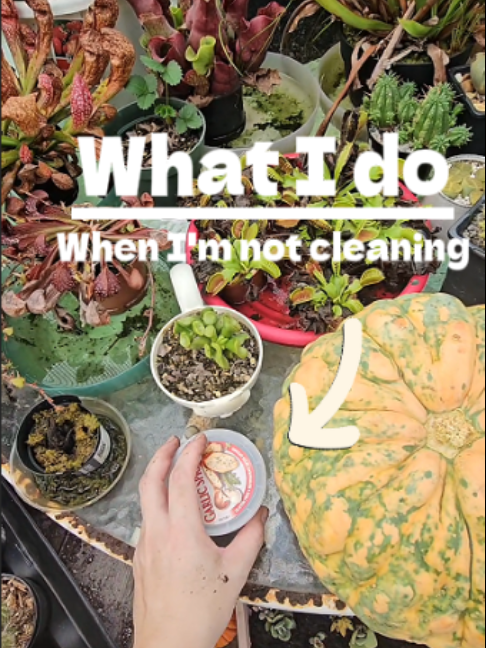 @Taylor | Cleaning 🧼