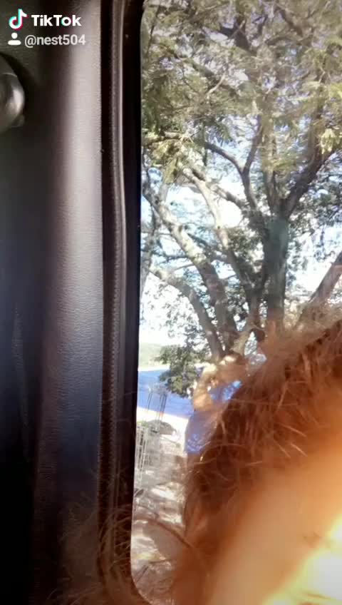 @aventurasjn