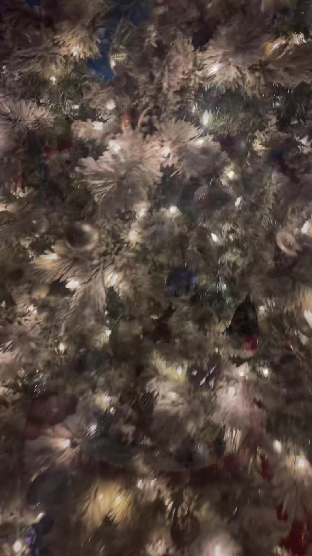 @Lindsaylight