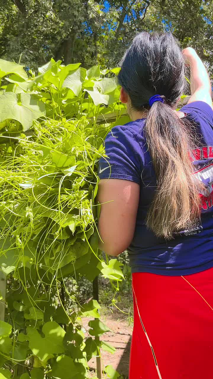 @yolandaceto_502