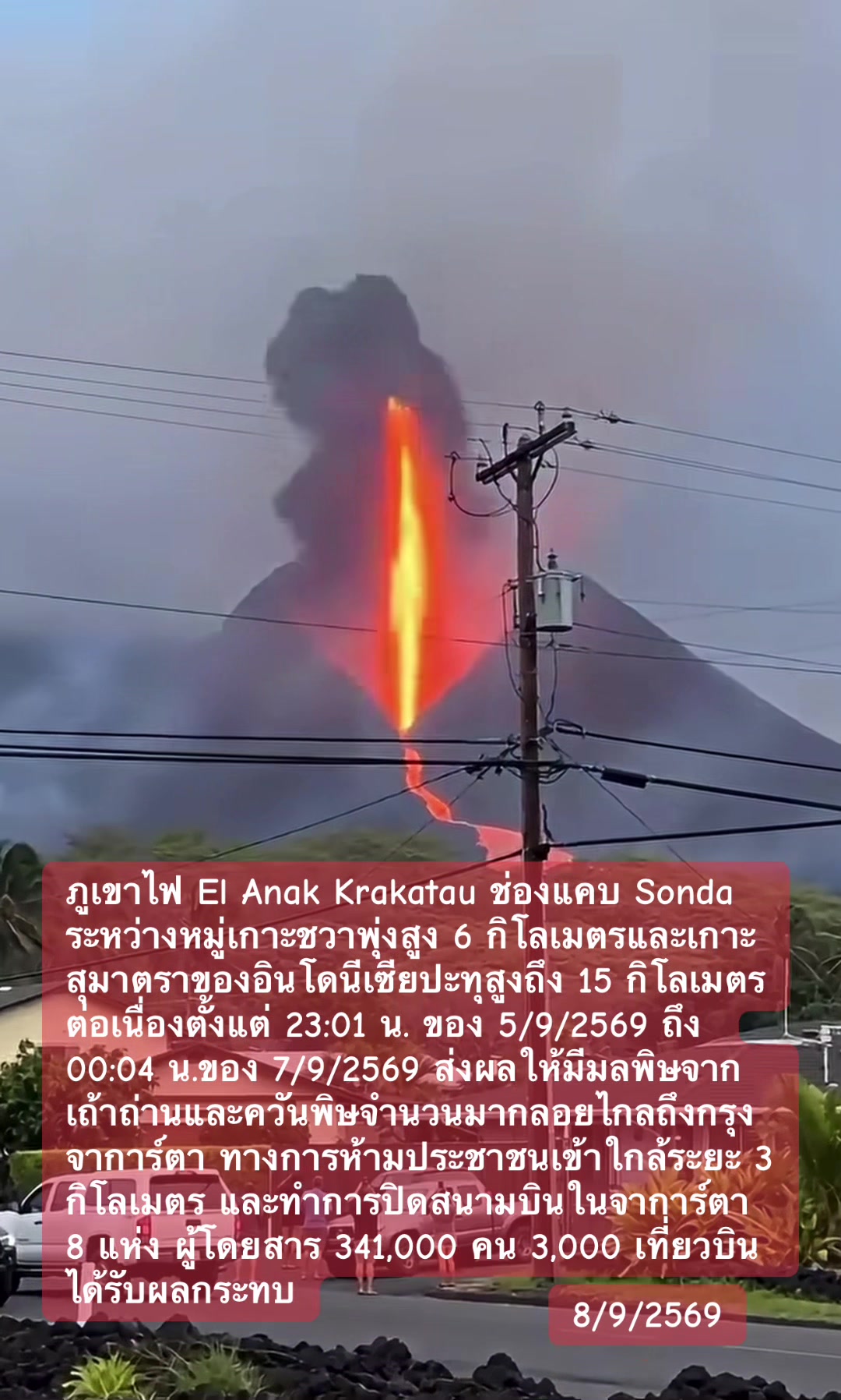 @ทาสแมว_News
