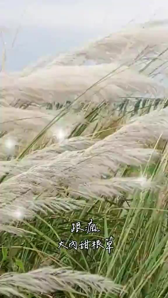 @霸氣女王