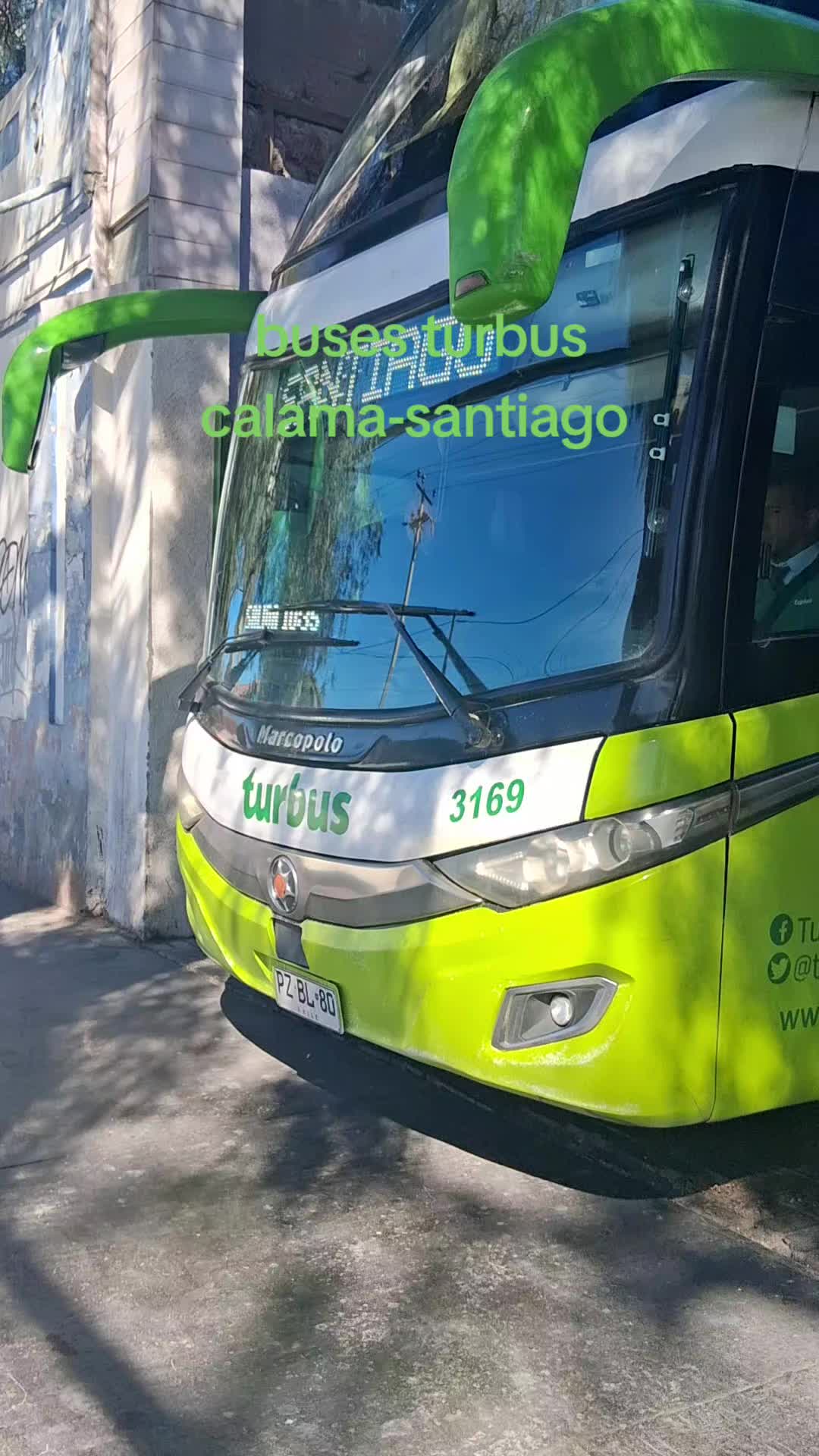 @Busología renato 😎