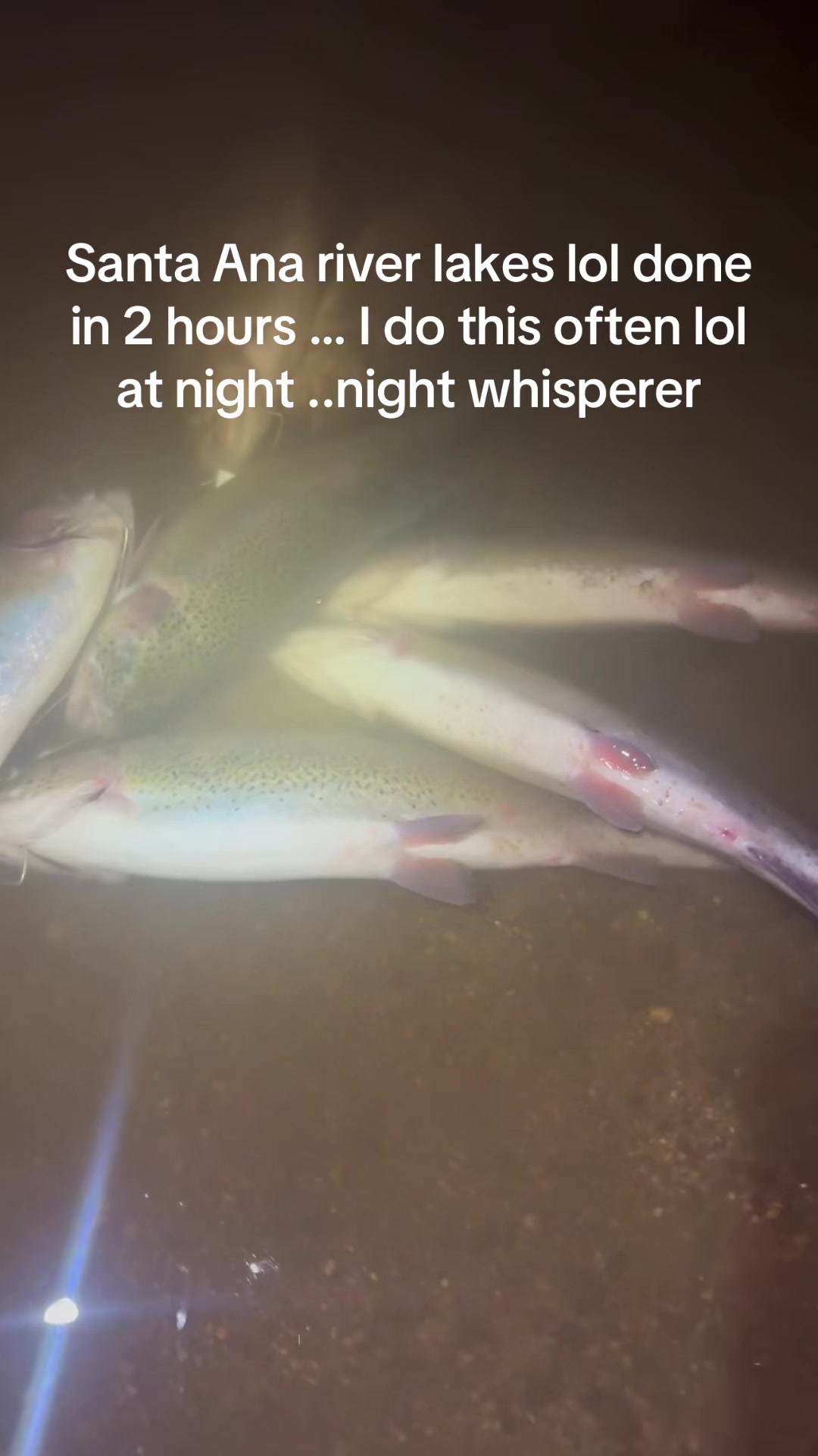 @Scoobs_fishing