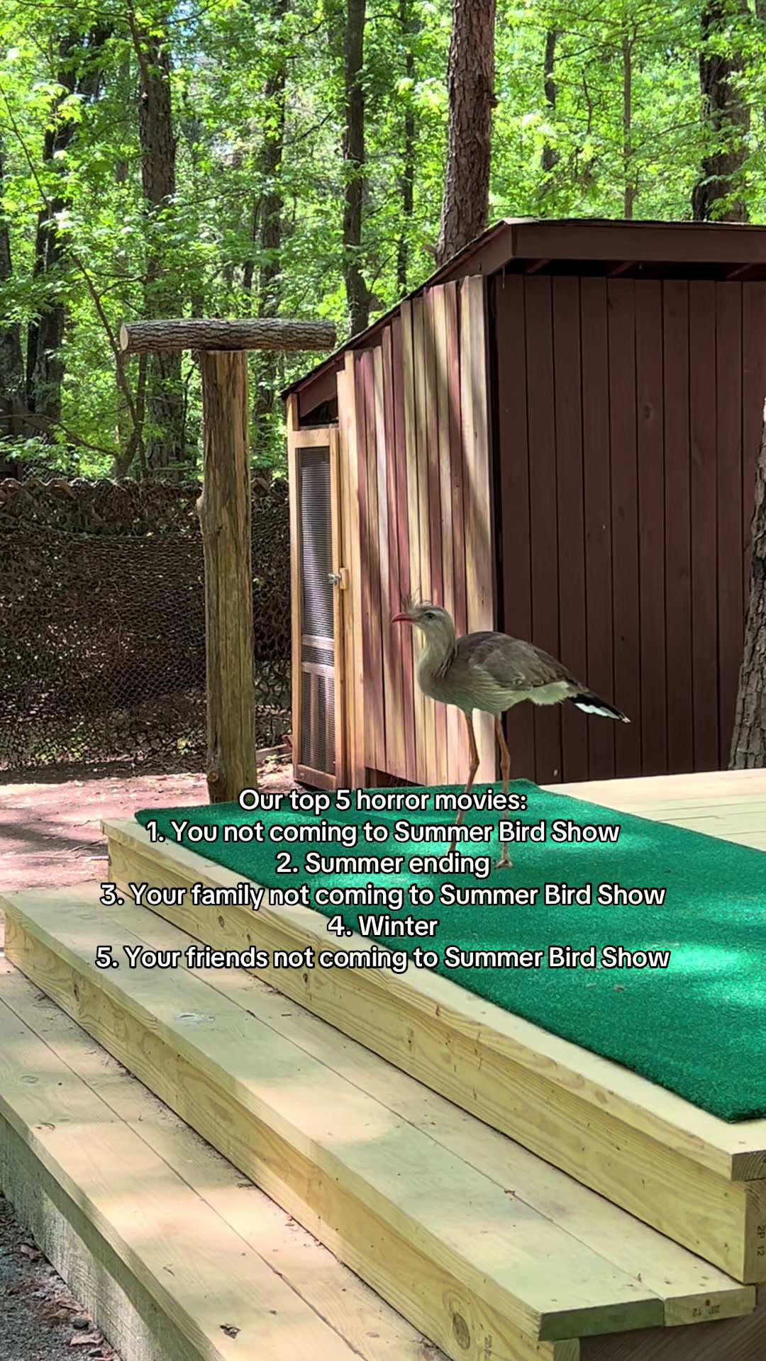 @Carolina Raptor Center