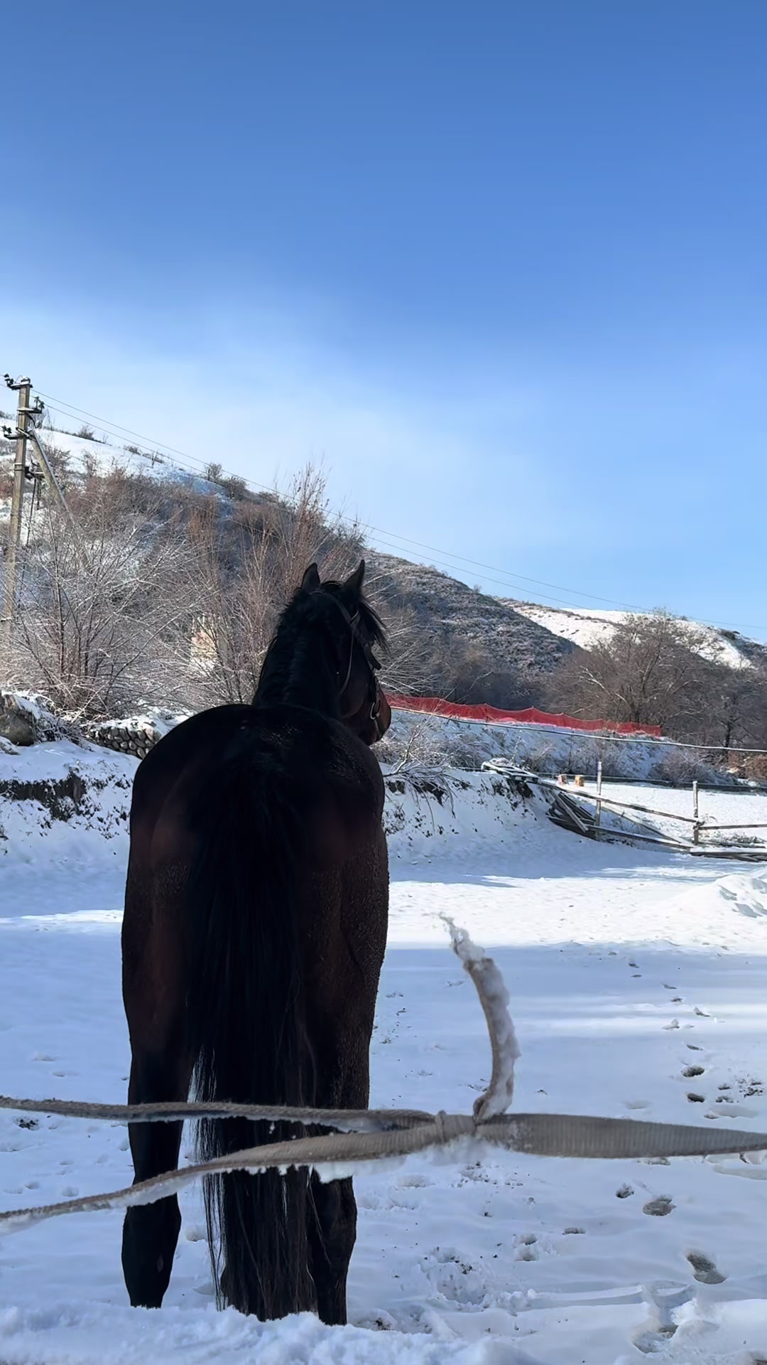 @🐎Ева🐎