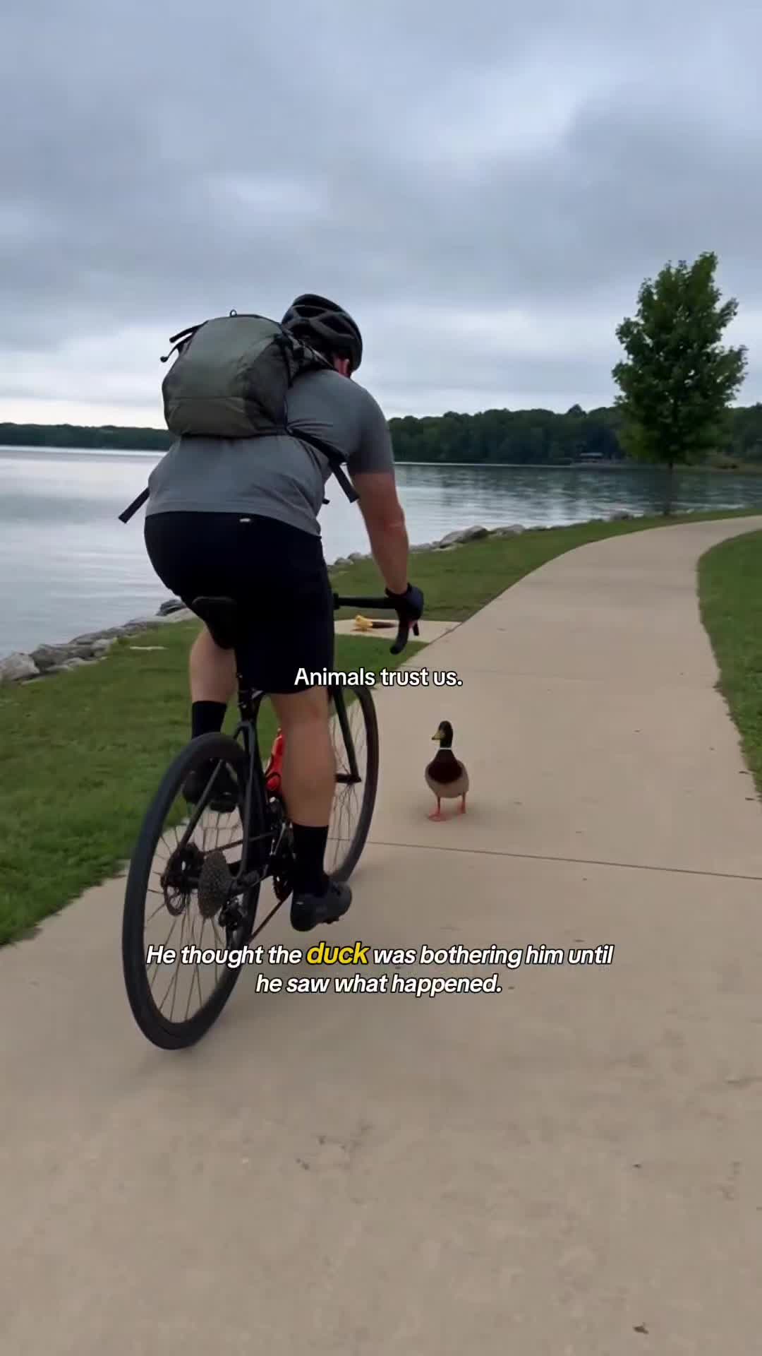 @WildwonderzZzz
