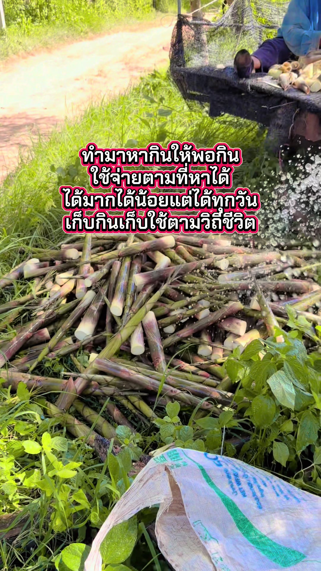 @นัดดาชอป