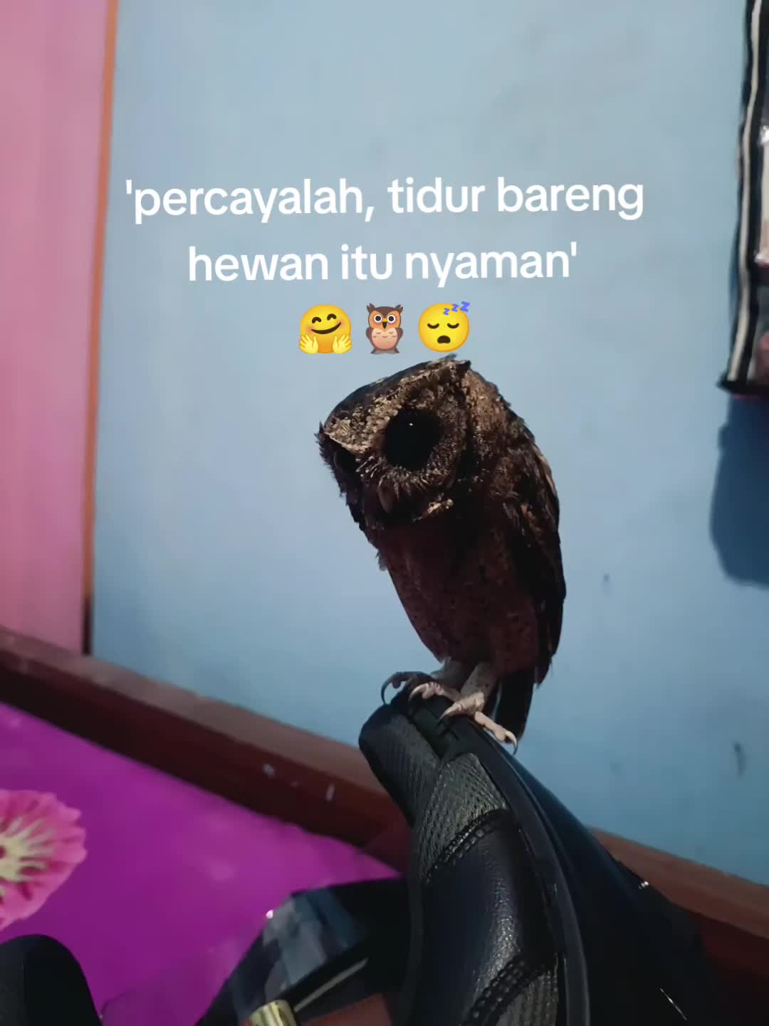@old.random.video