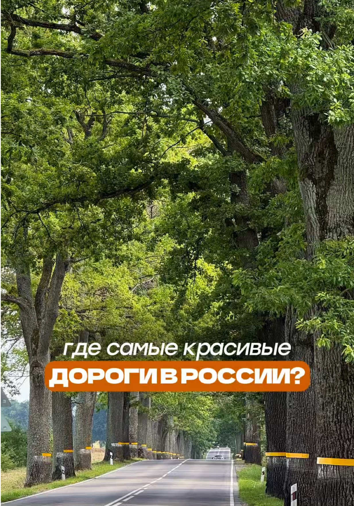 @Эвелина про Калининград