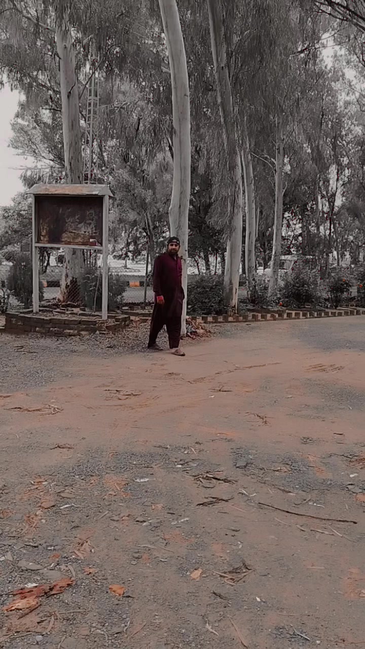 @Raja Zaheer