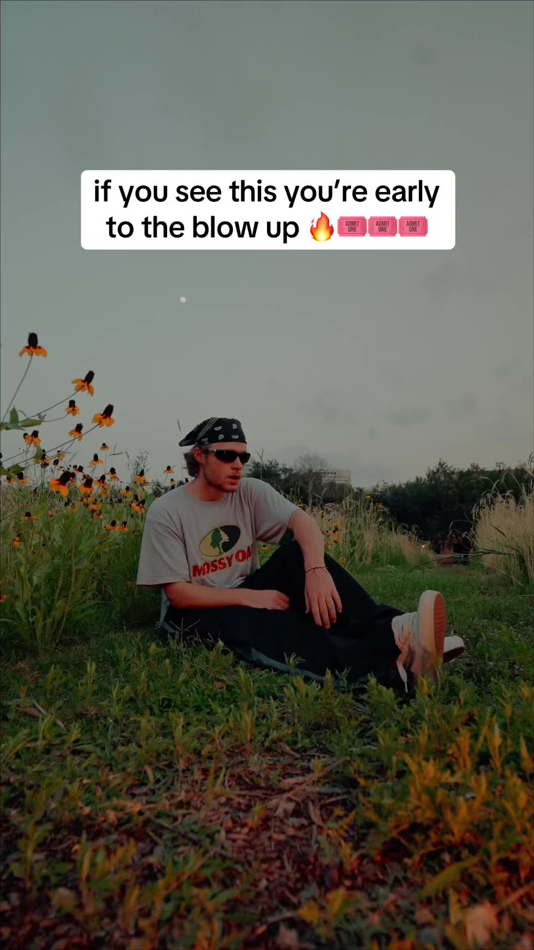 @sethsutch333