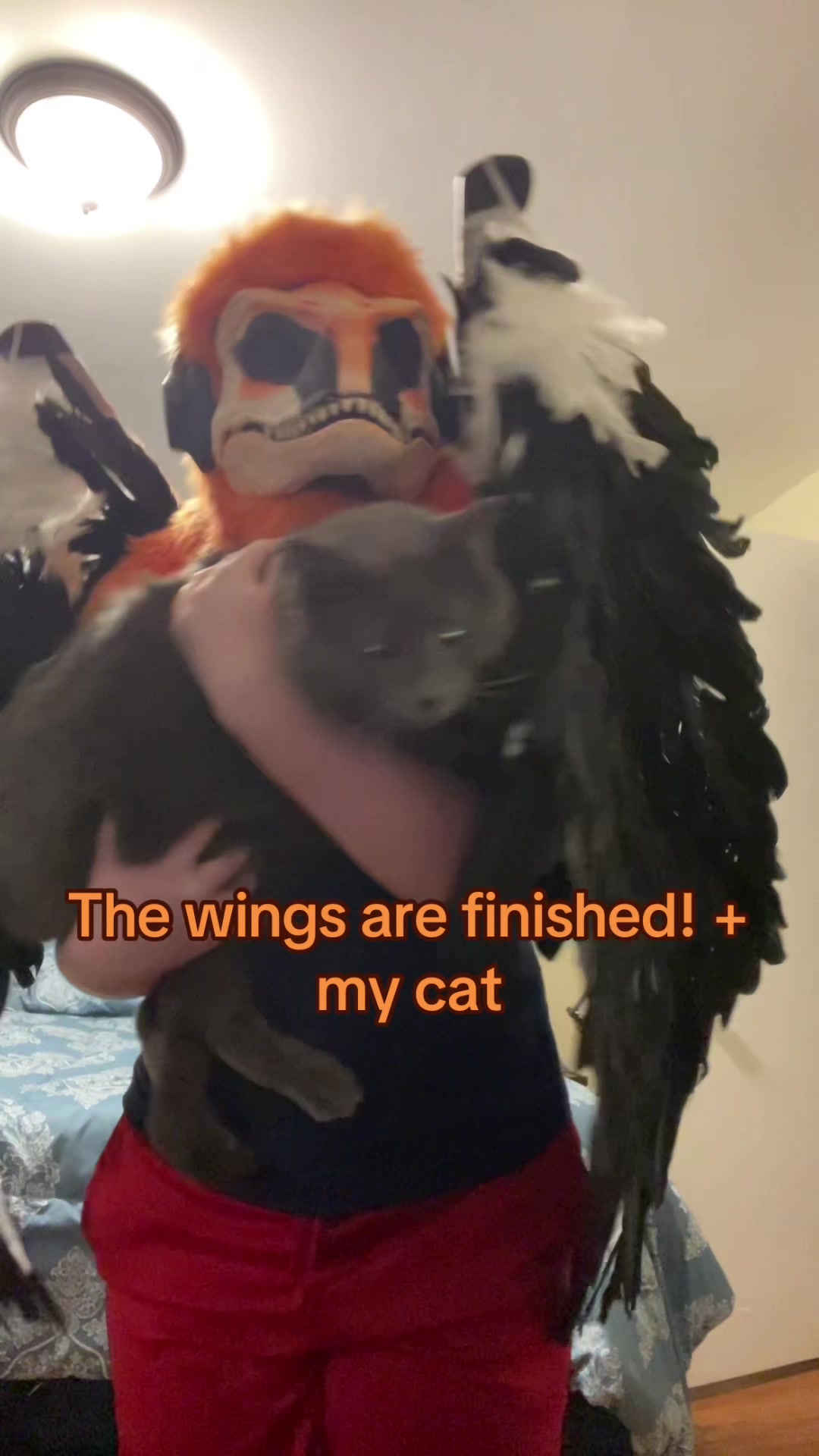 @cann1balanimal