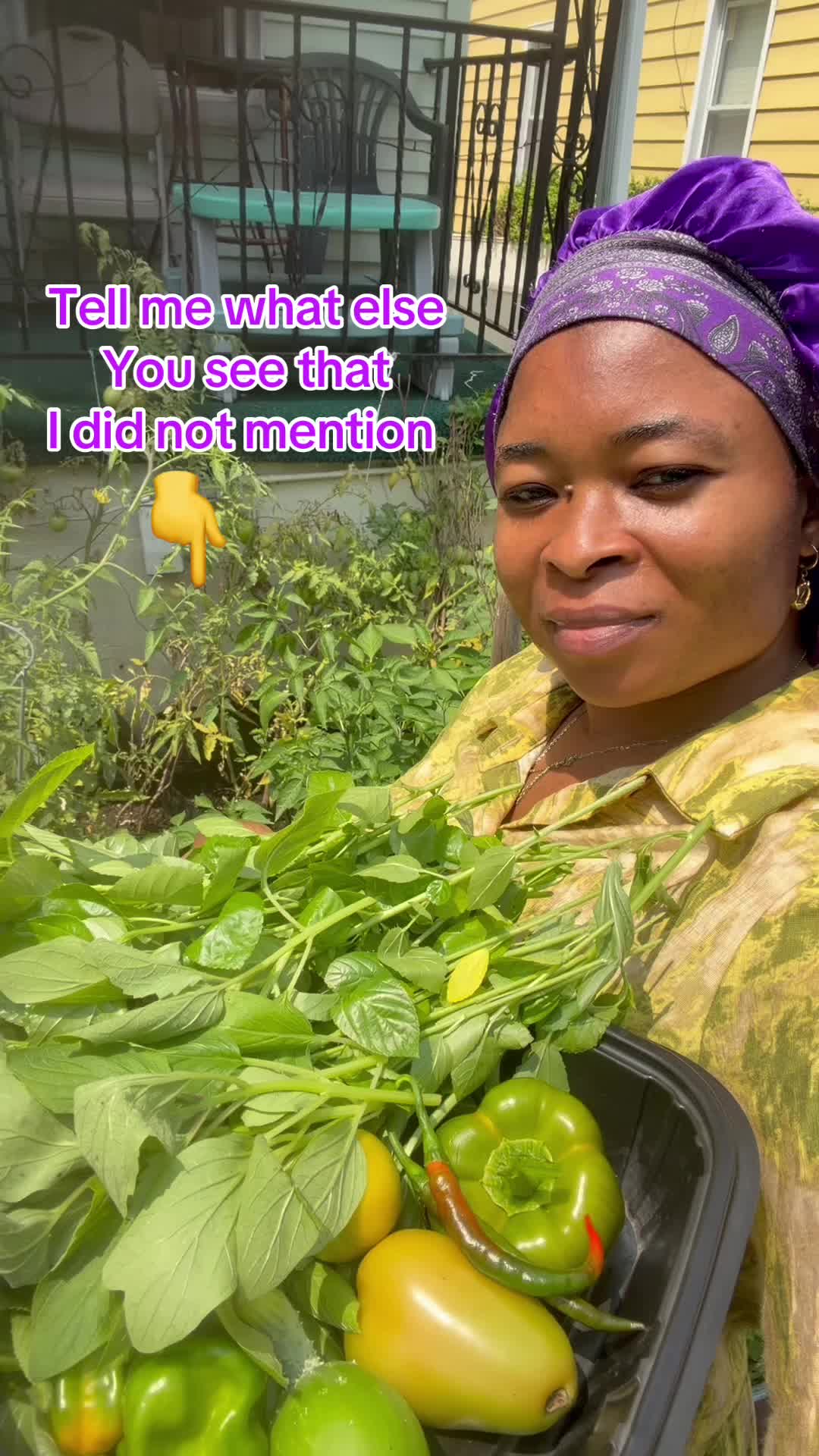 @Gracefully farm land
