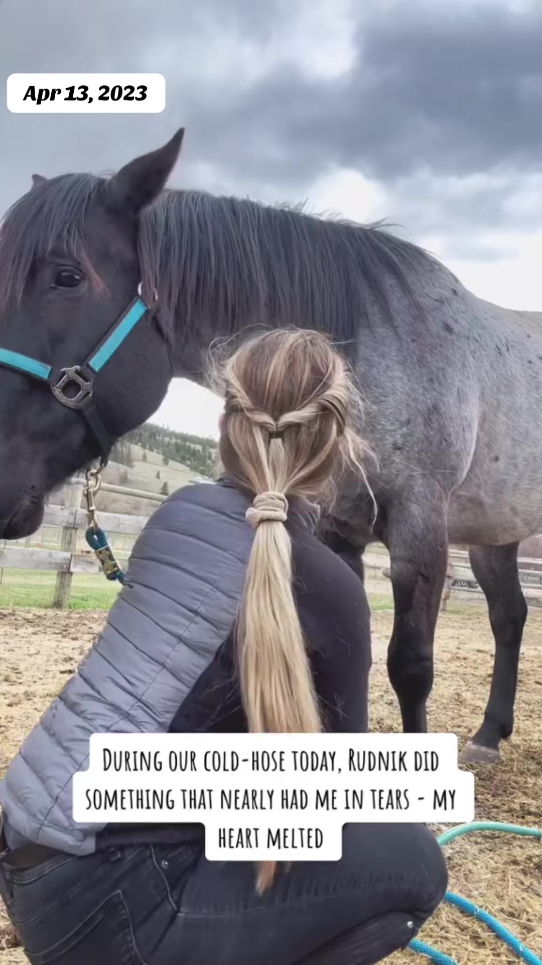 @Rudnik the Roan