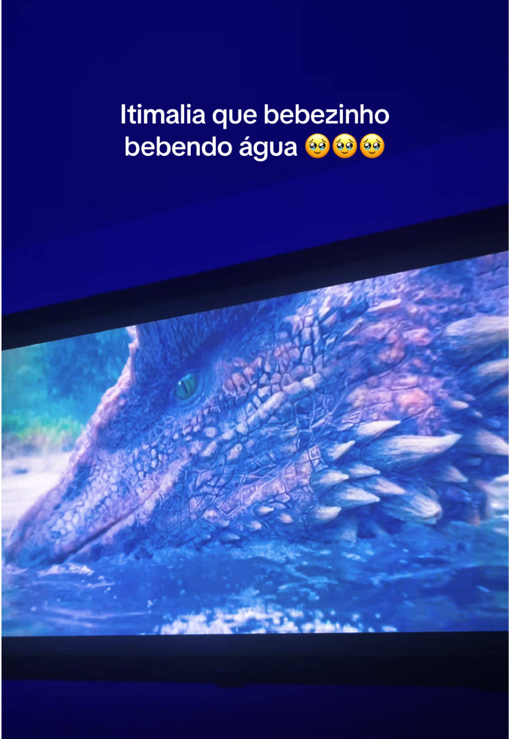 @Juliano Santos