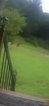 @𝓫𝓪𝓬𝓴𝔀𝓸𝓸𝓭𝓫𝓸𝓰𝓰𝓲𝓷𝓰