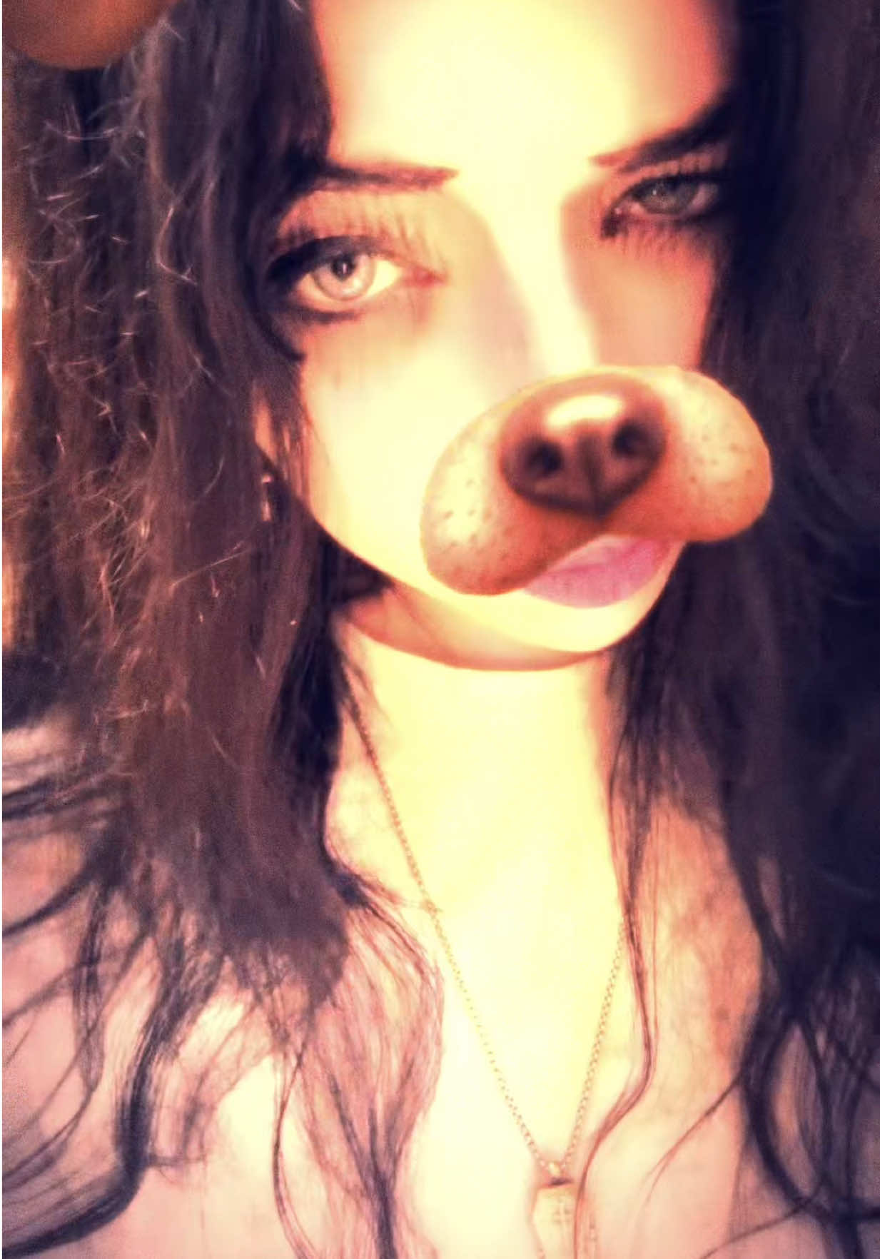 @shxka