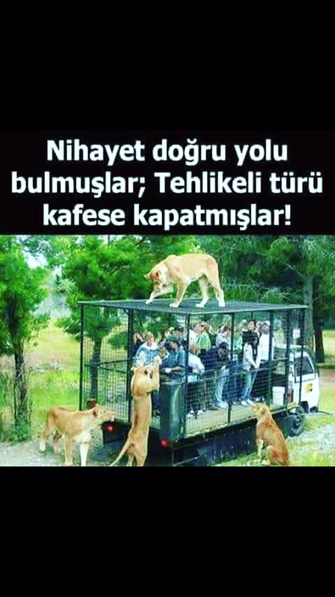 @Alican aydın