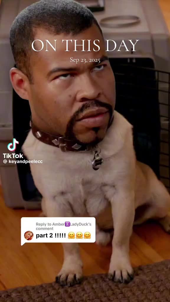 @Thundrarayray