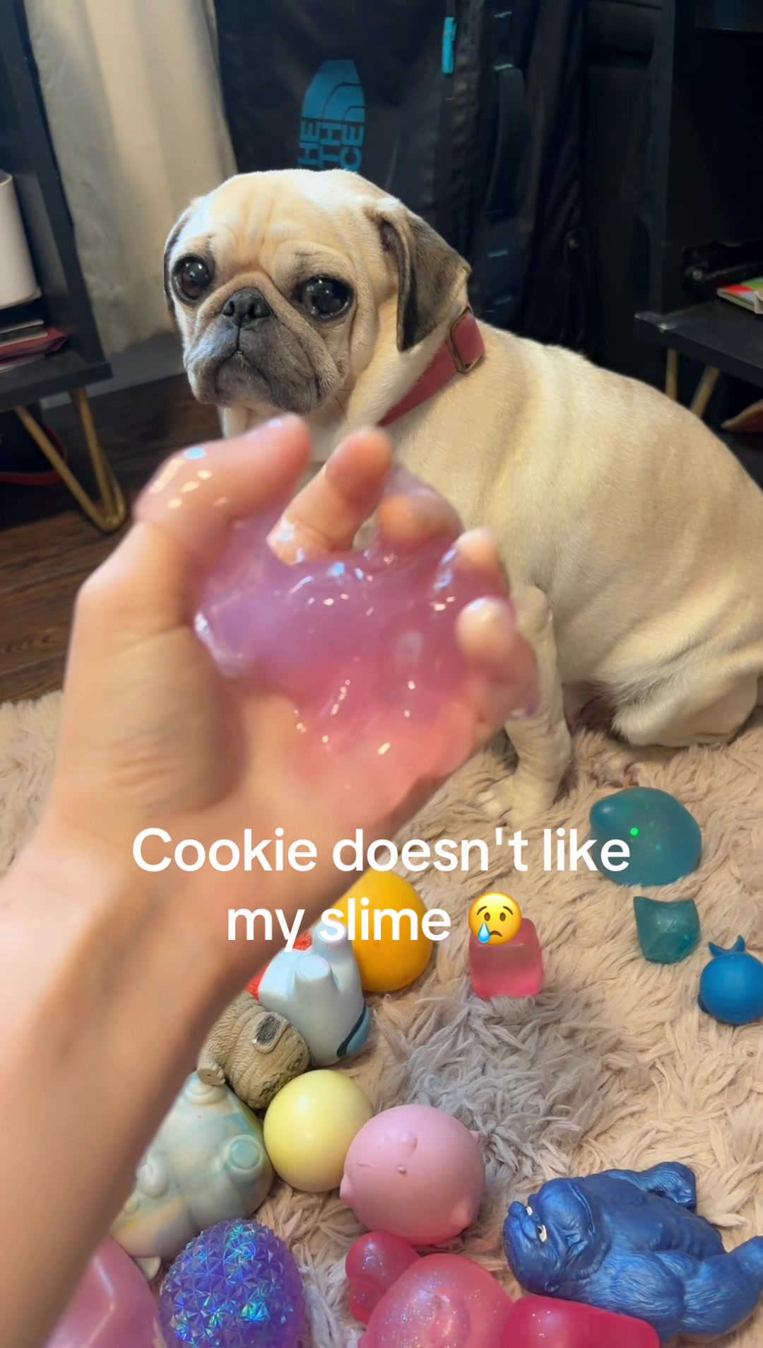 @babycookie