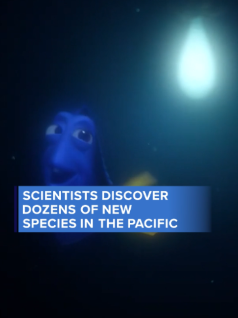 @ABC News