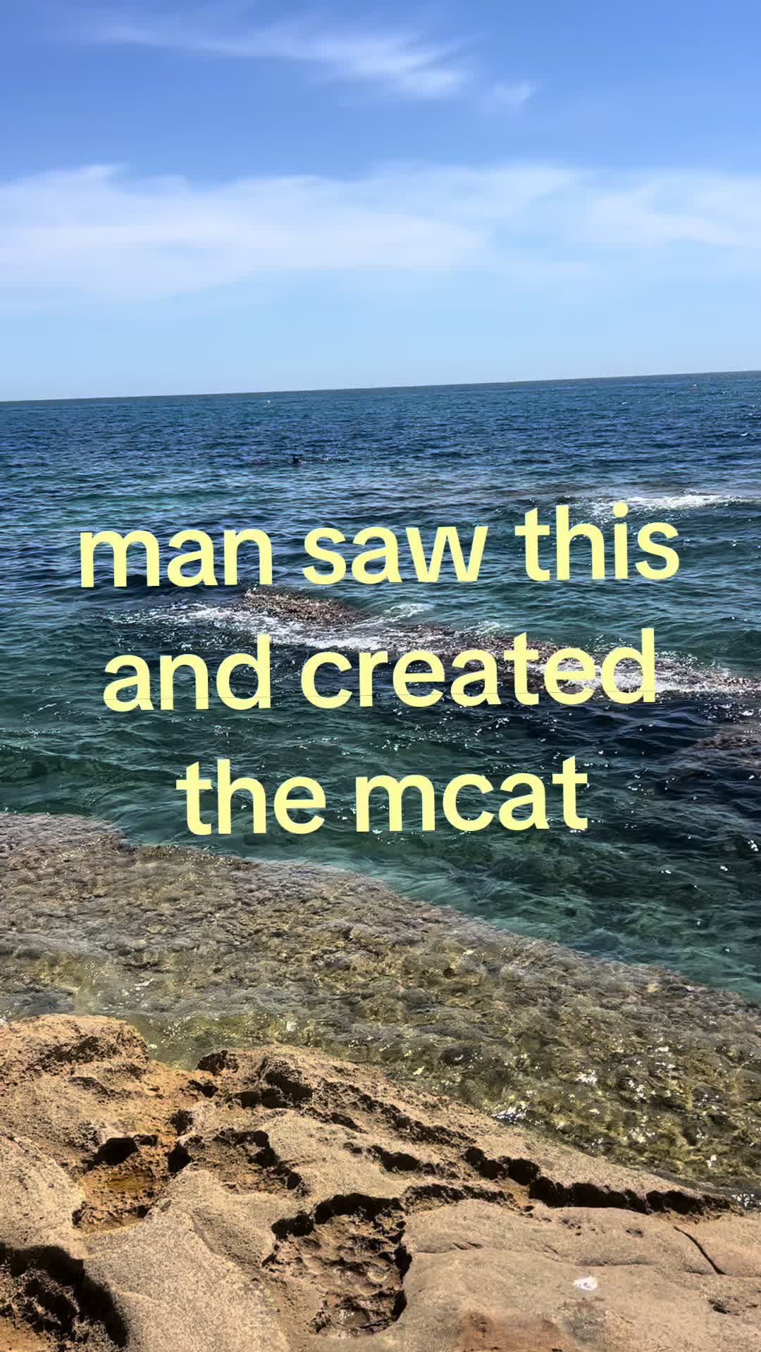 @Ani