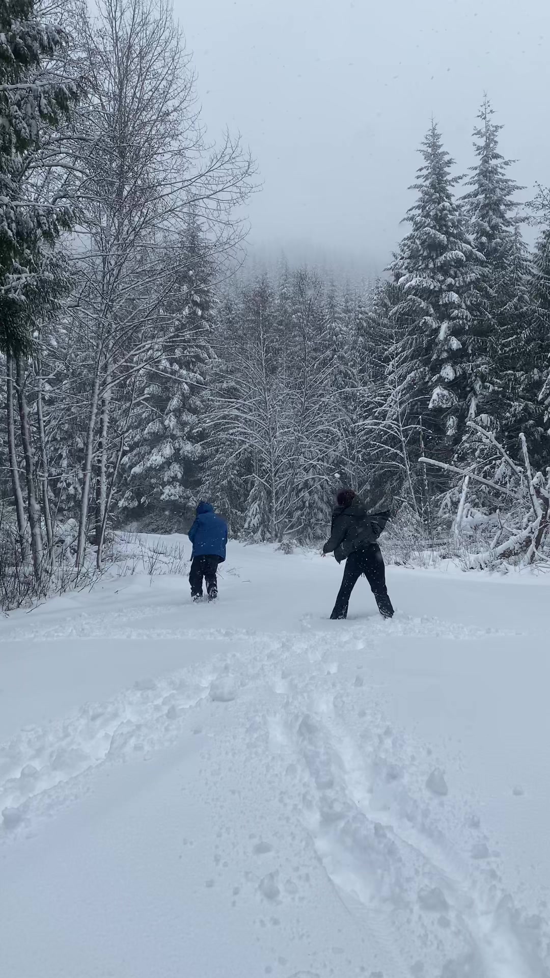 @Missiee 🇨🇦🫎
