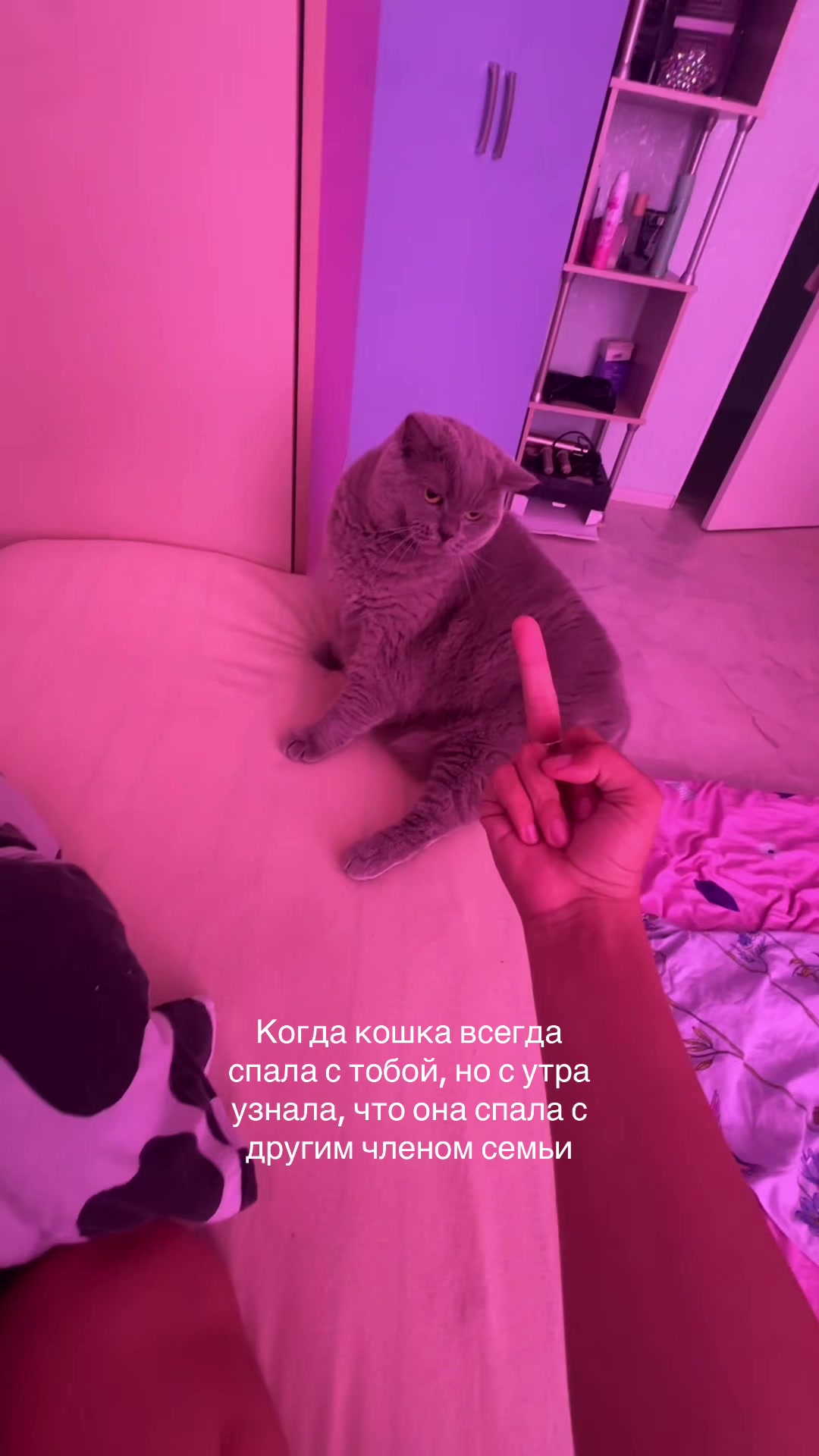 @Vika)))