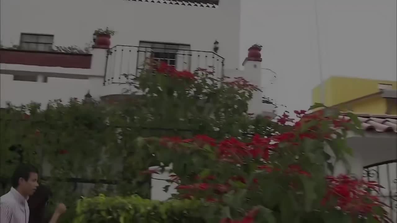 @Itssalma123