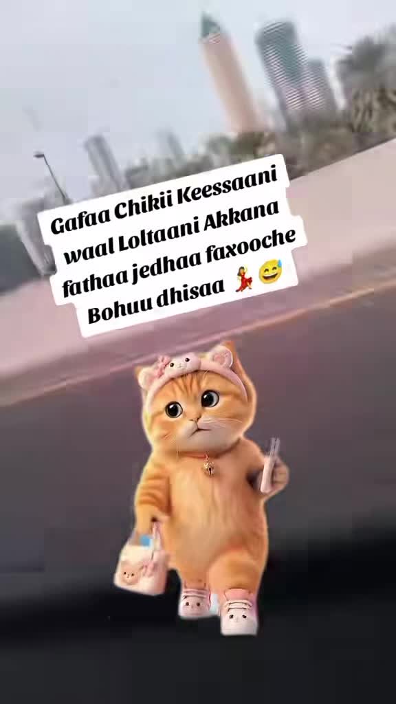 @ofiin bontuu