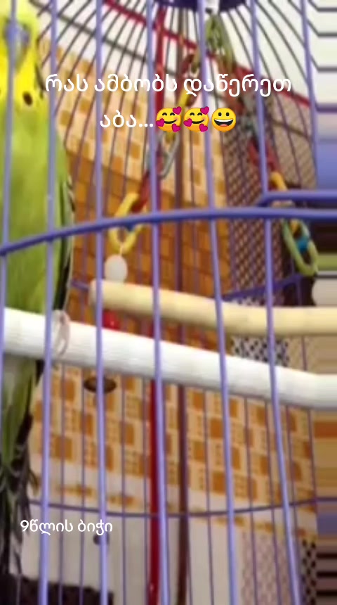@๐ปโ๏ธโค๏ธ_nala_โค๏ธ๐ปโ๏ธ