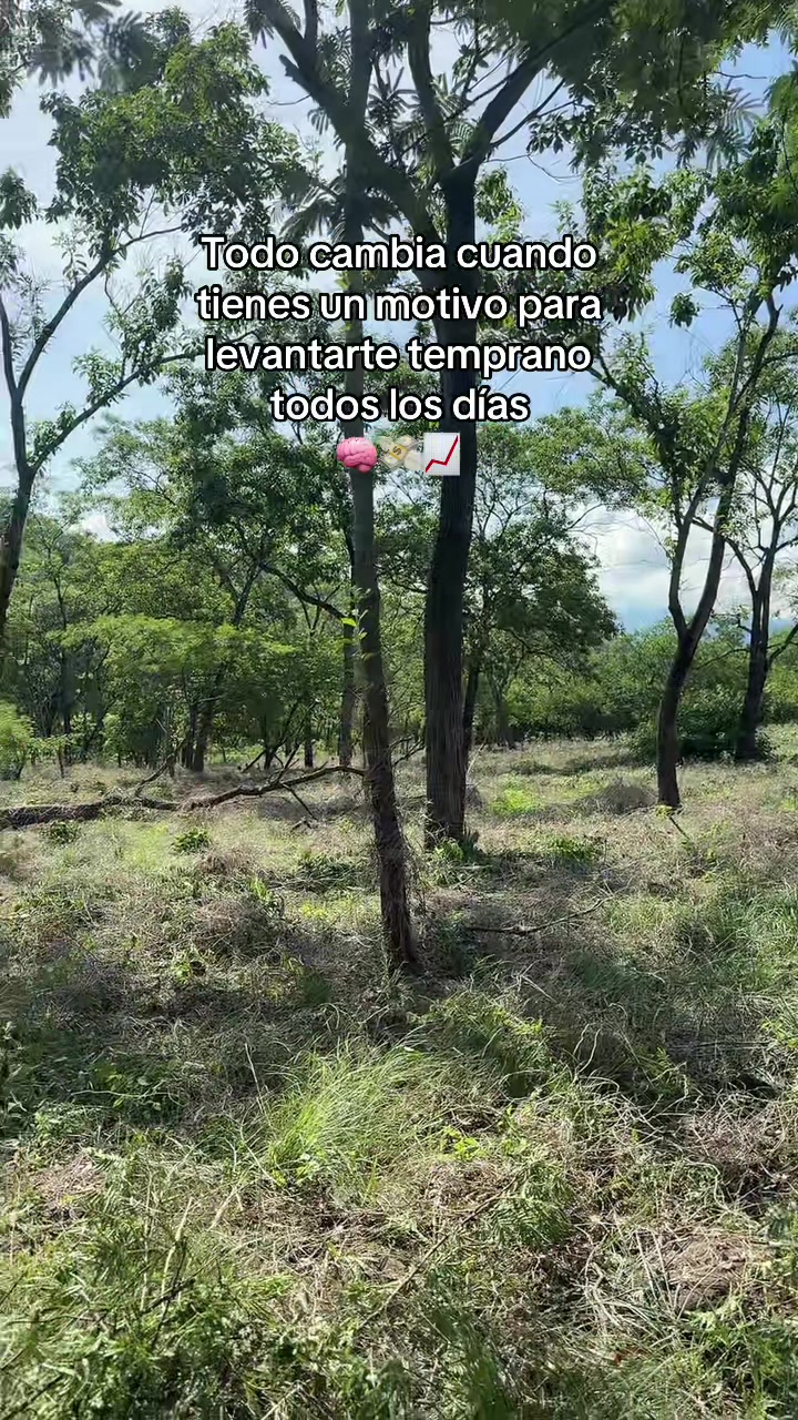 @Ronaldo García