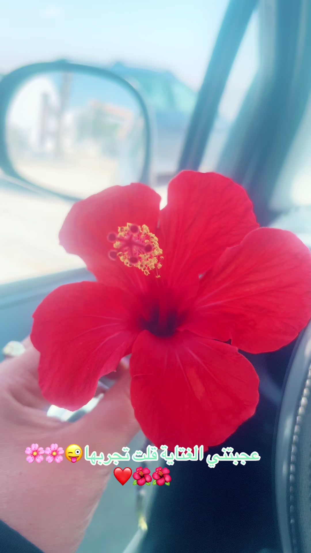 @🌸houda zaydi🌸