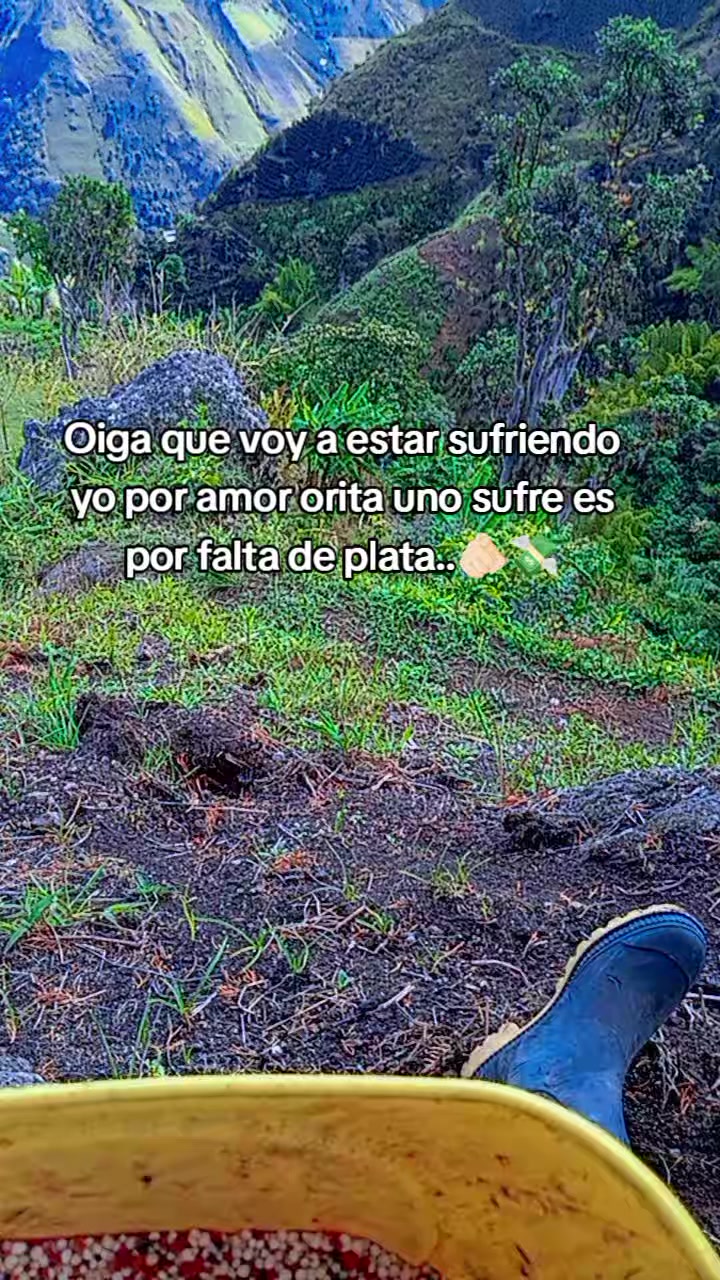 @Yo-Ana🎀🧃