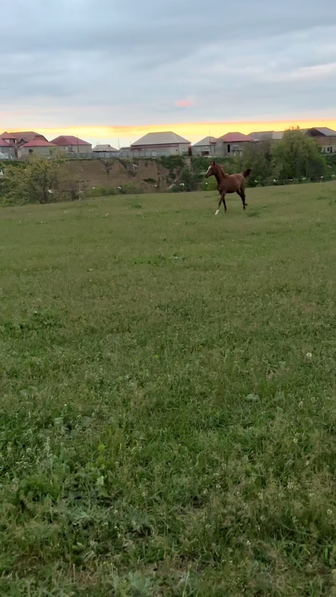 @MakvinStud