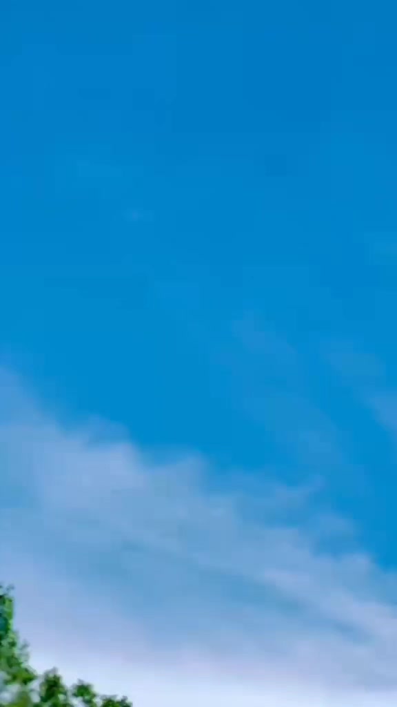 @🐼Ｓㄚ Ｅ Ｄ🚩
