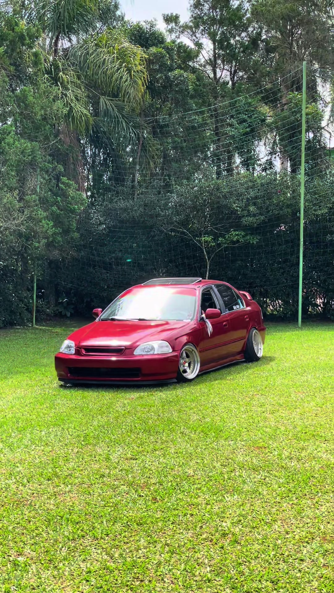 @Kleber Stance
