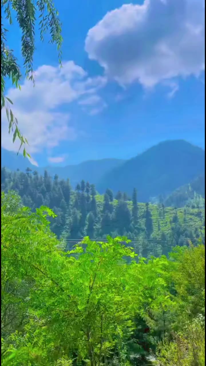 @rockyayash