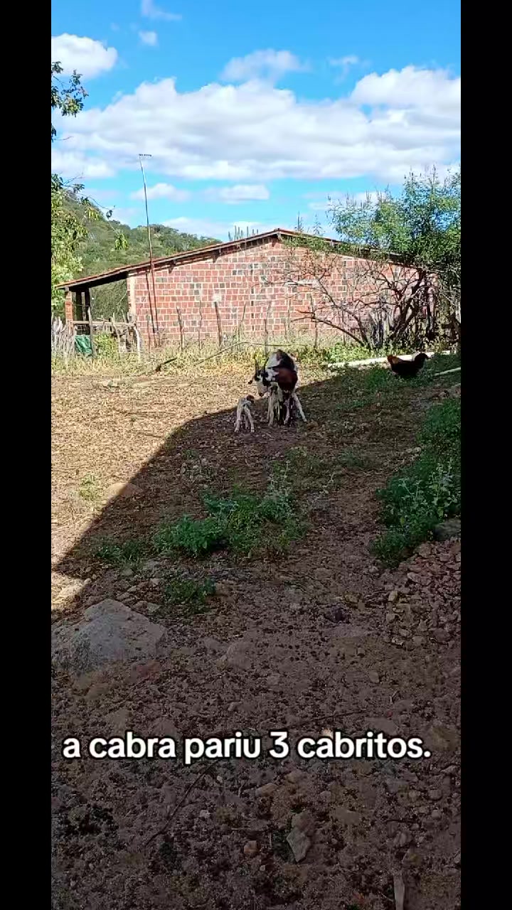 @Denizze Rodrigu&ecirc;s
