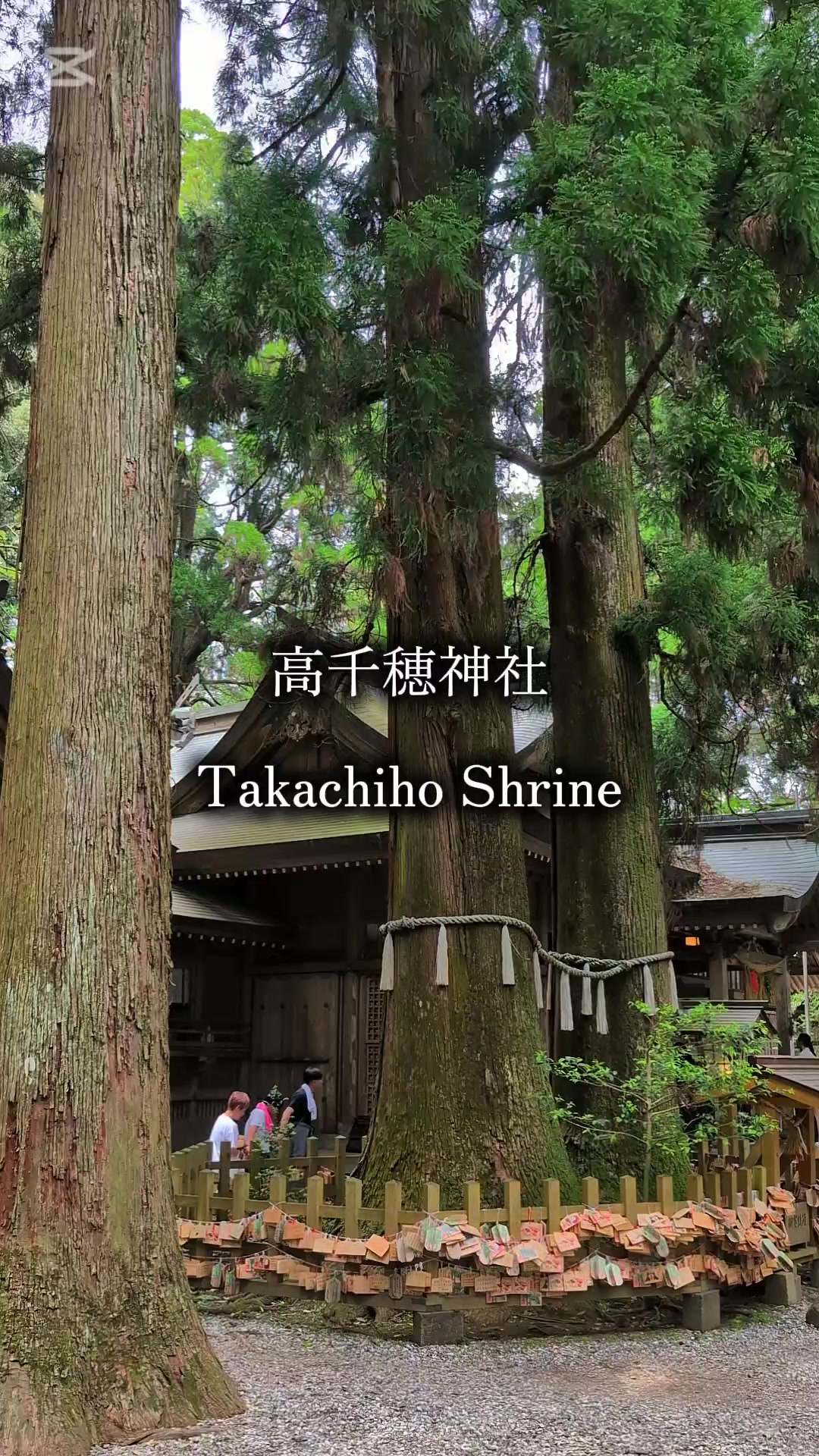 @のりのすけ【京都】
