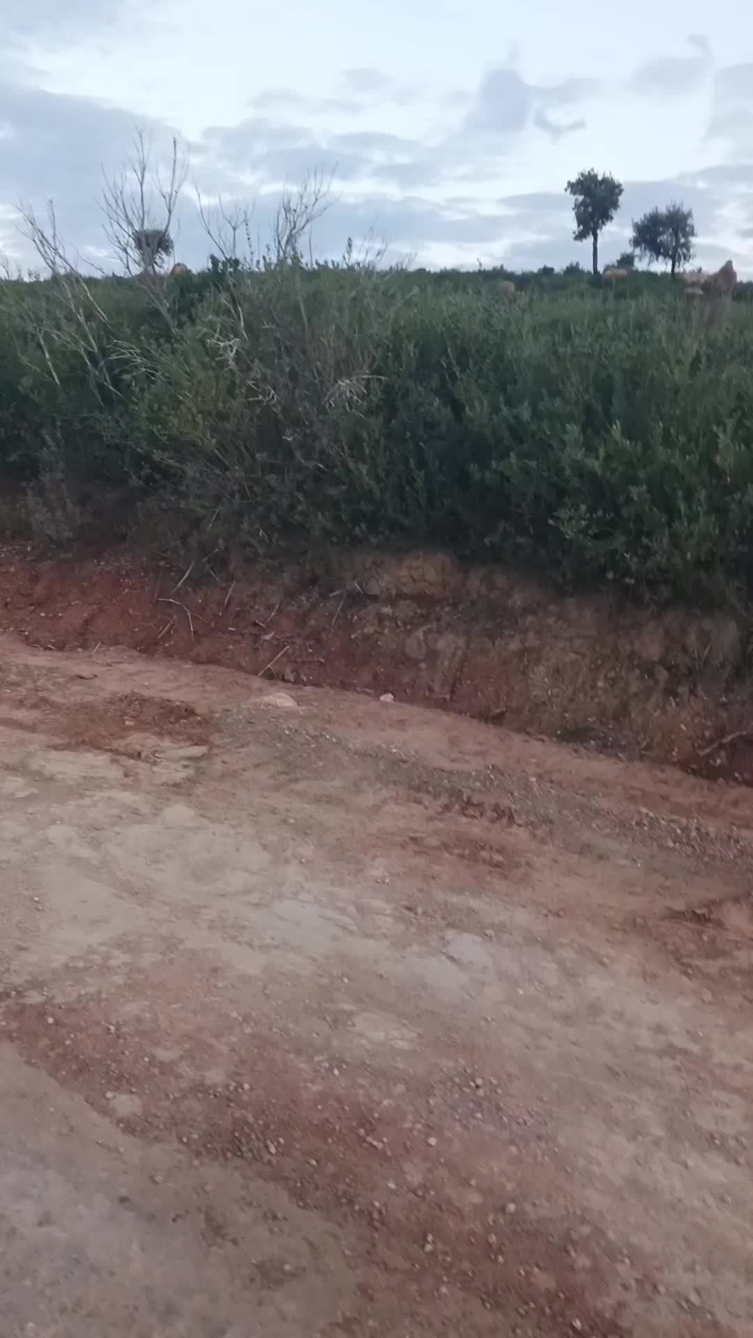 @Ïsh Äk Rahil