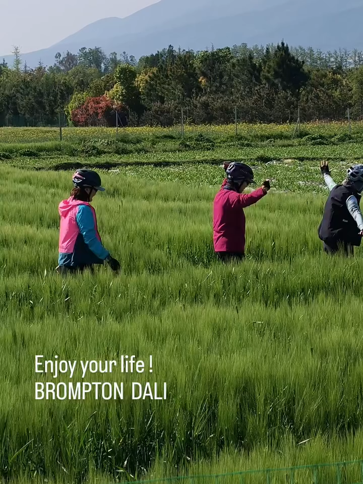@bromptonexperiences