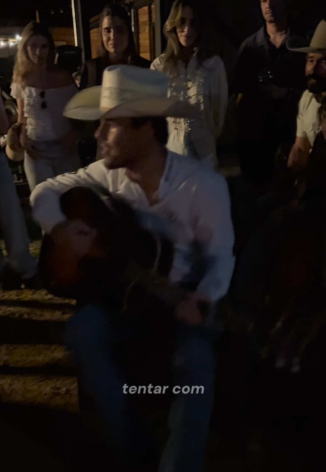 @viniciusleitecantor