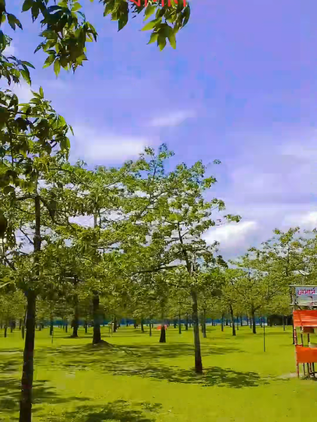 @đ¸đĻâī¸shimulbagan_1âī¸đ¸đĻ